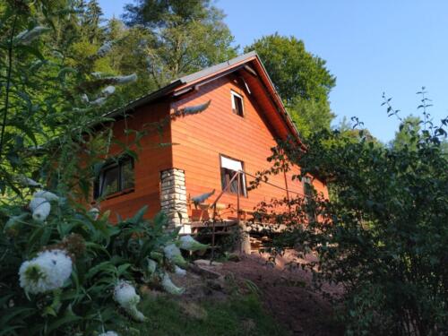 IMG 20200811 090122